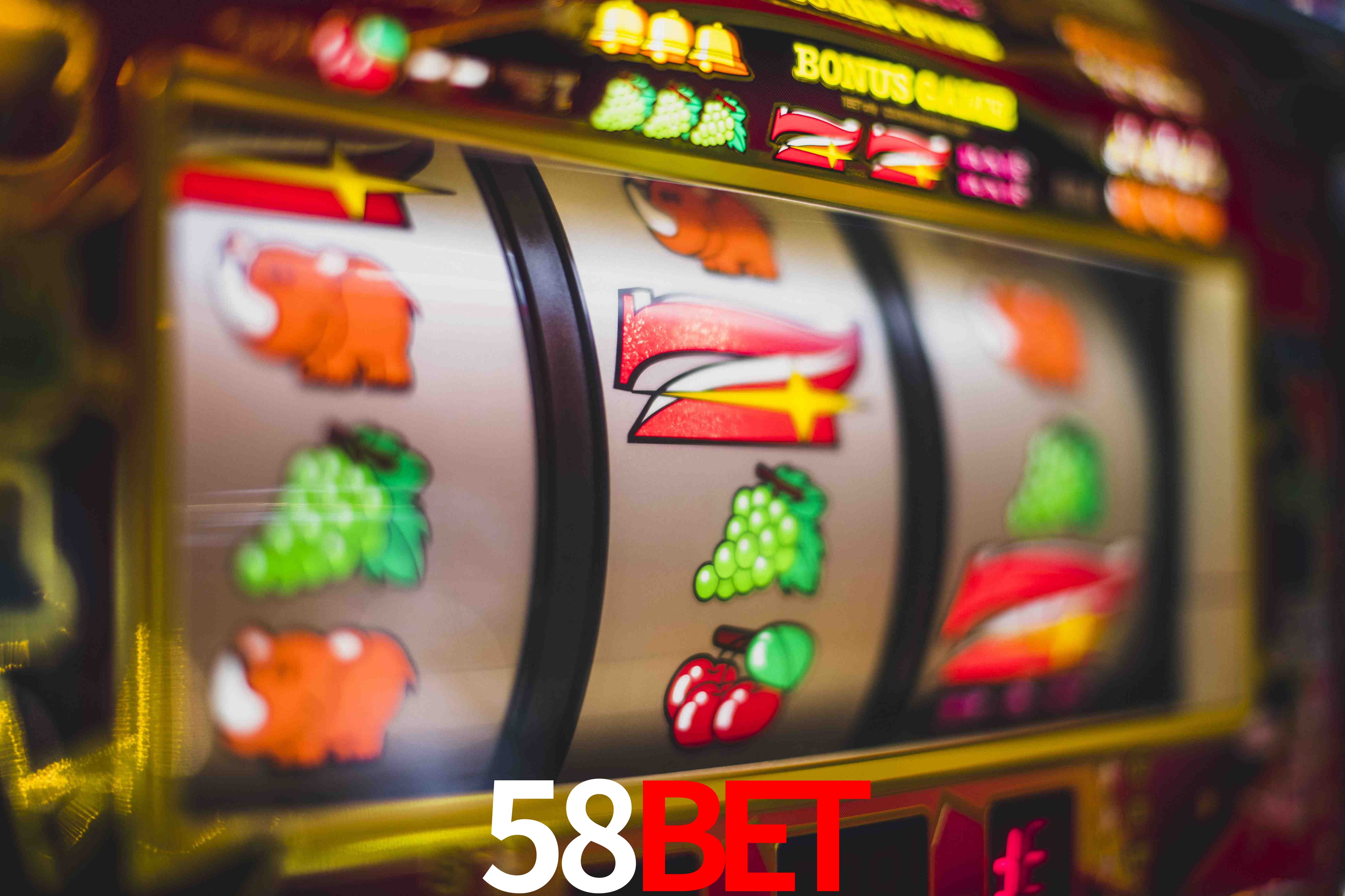 Secure Login 58bet